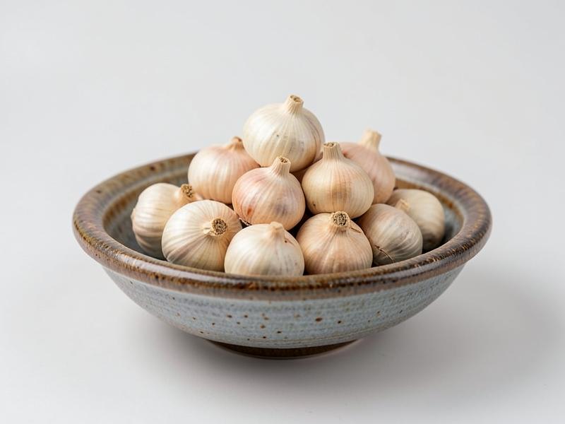 Himalayan Mountain Garlic